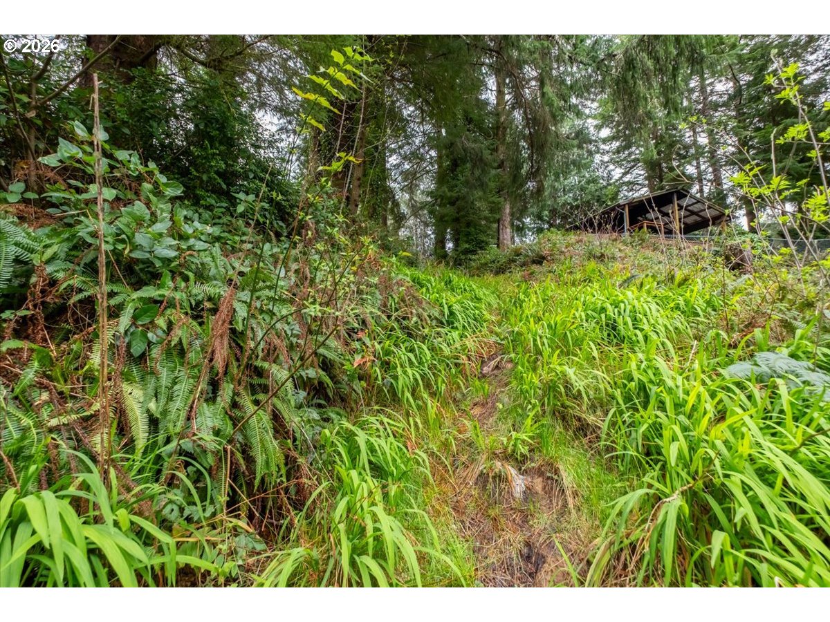 2800 Lot Waldport, OR 97394 - Photo 22 of 48