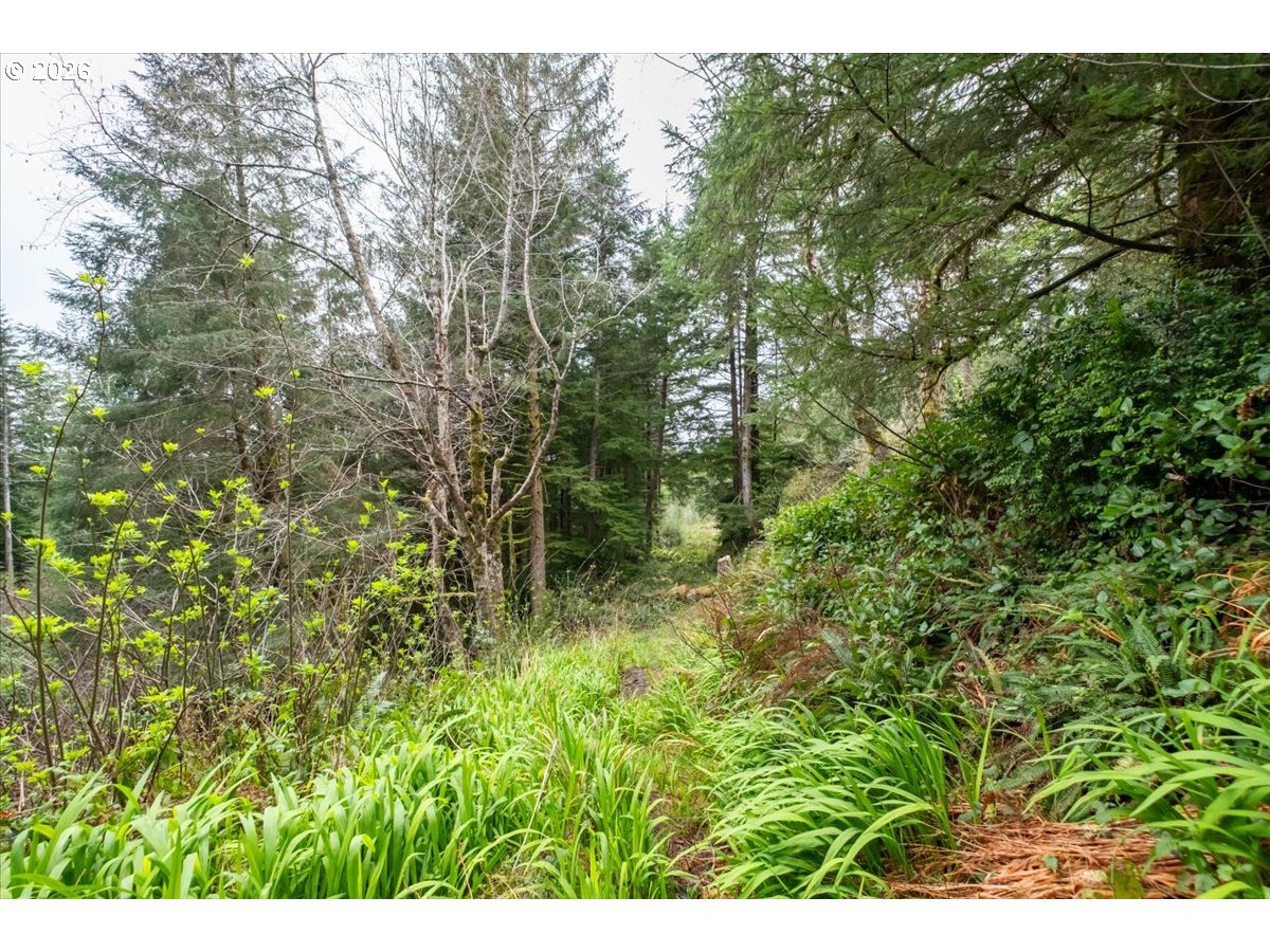 2800 Lot Waldport, OR 97394 - Photo 23 of 48