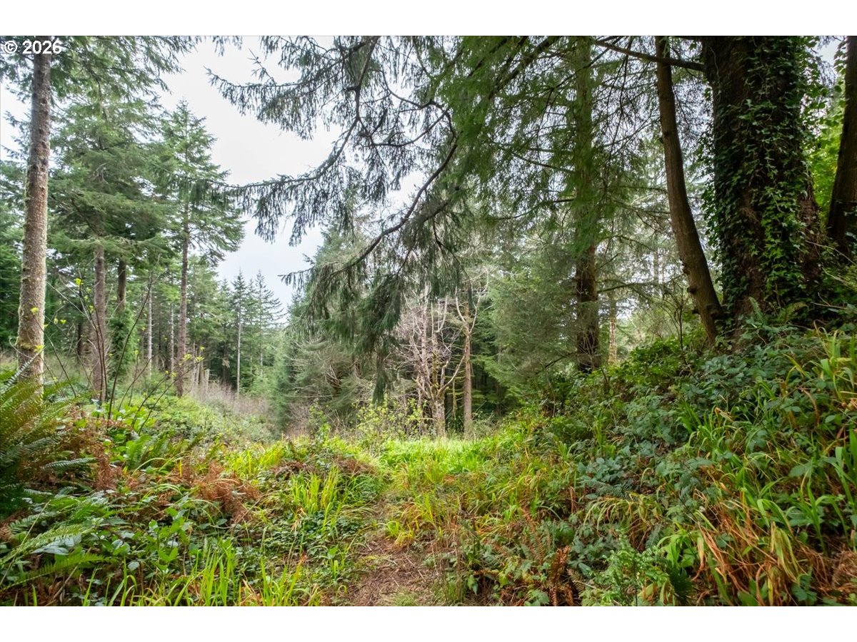 2800 Lot Waldport, OR 97394 - Photo 25 of 48