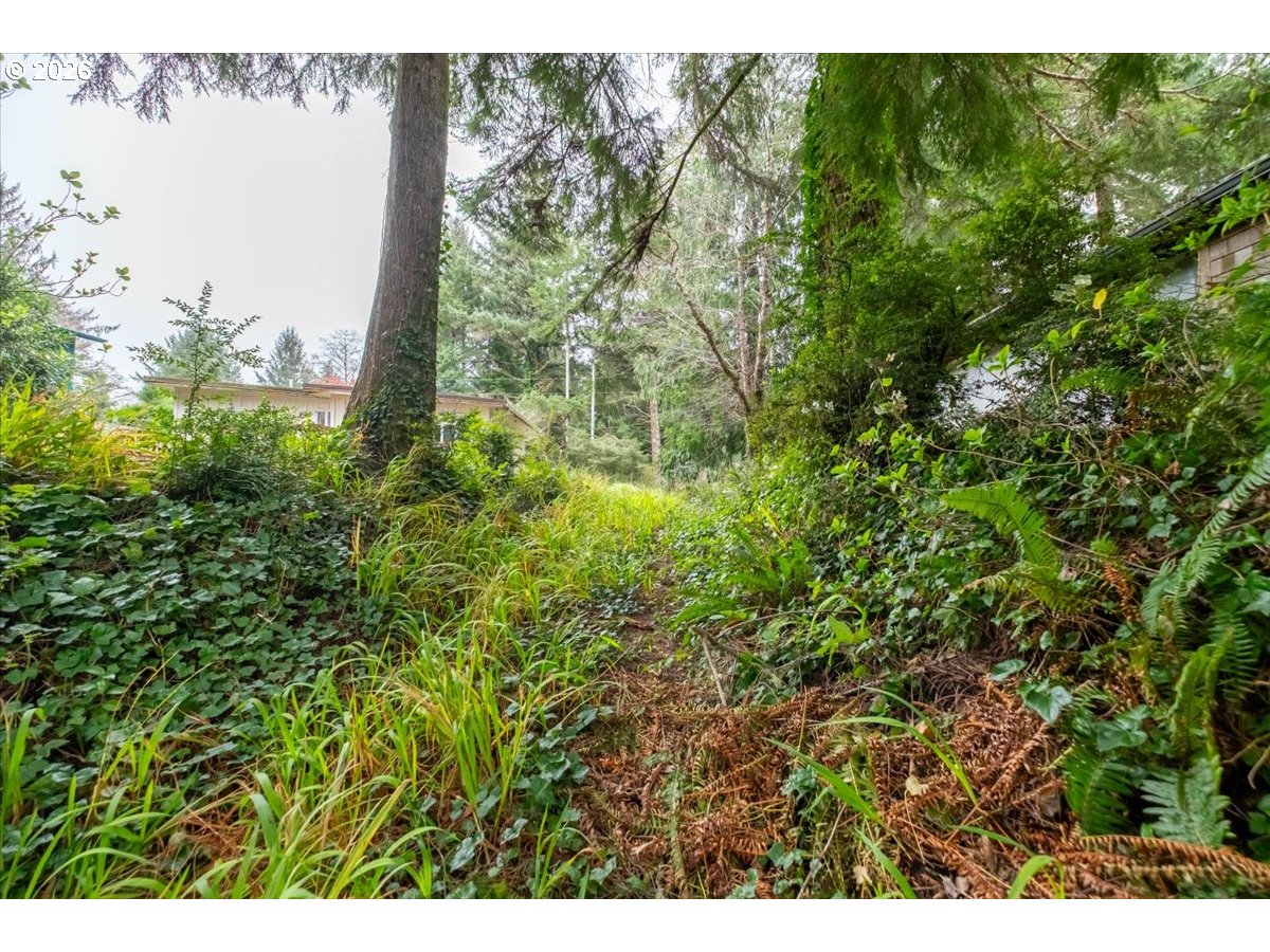 2800 Lot Waldport, OR 97394 - Photo 26 of 48