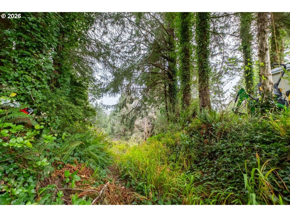 2800 Lot Waldport, OR 97394 - Photo 27 of 48