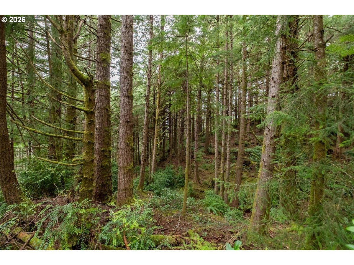 2800 Lot Waldport, OR 97394 - Photo 4 of 48