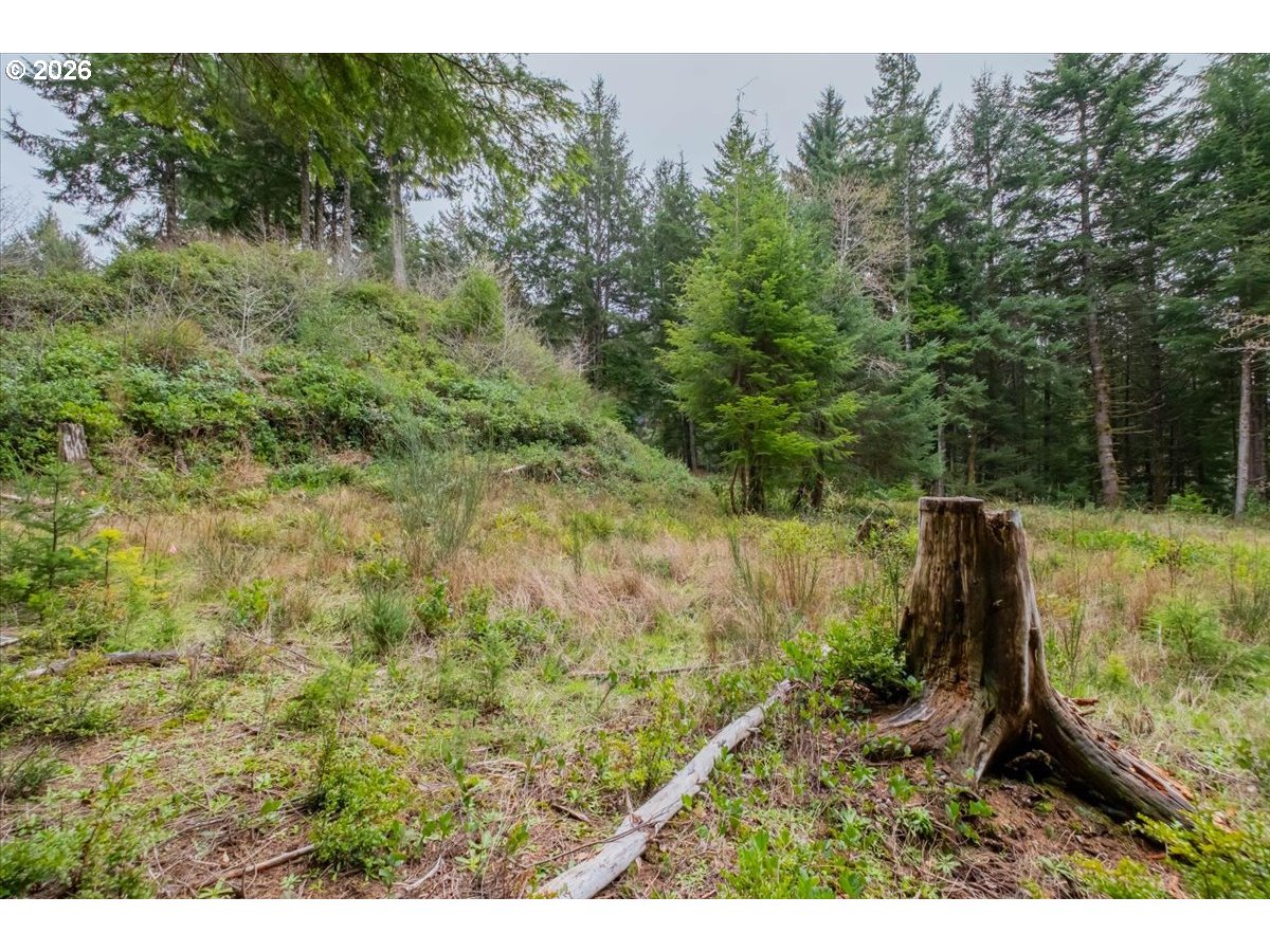 2800 Lot Waldport, OR 97394 - Photo 5 of 48