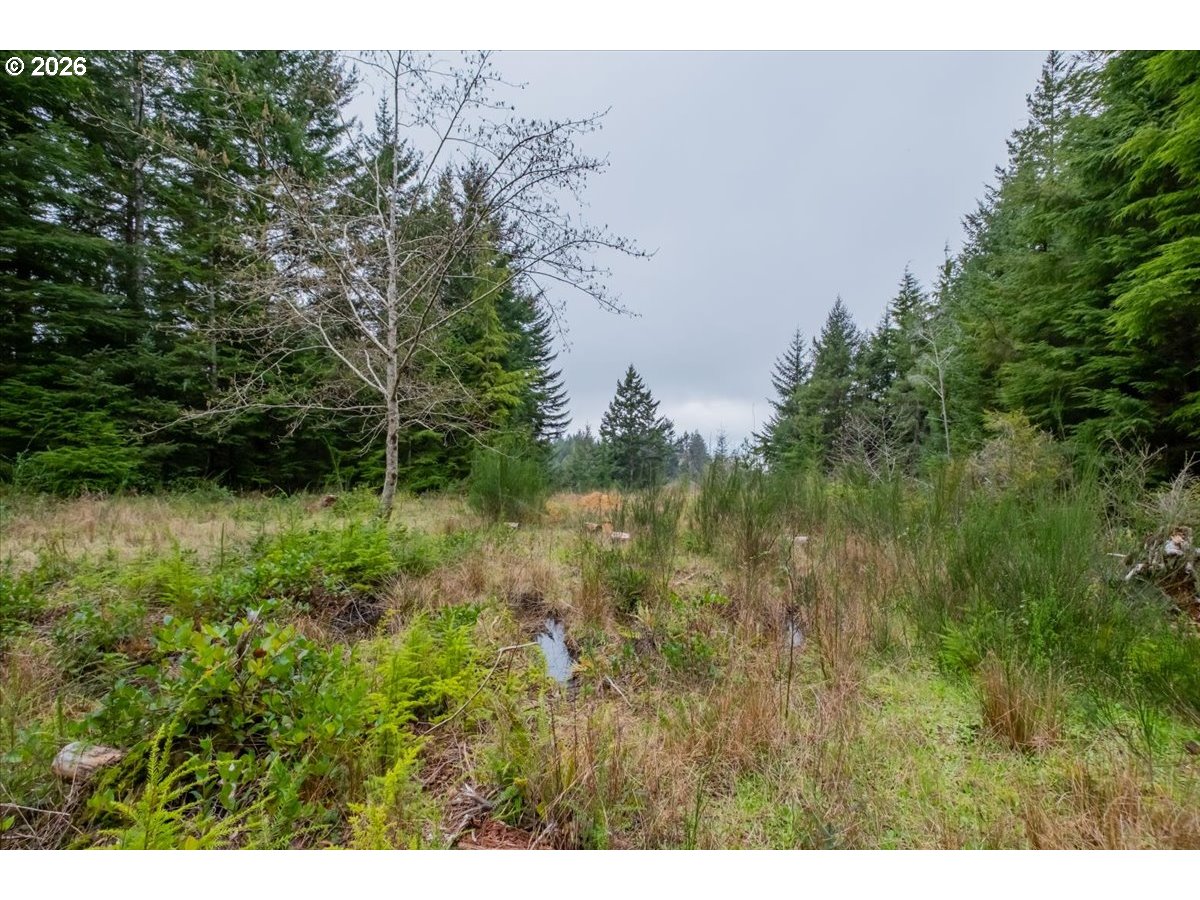 2800 Lot Waldport, OR 97394 - Photo 6 of 48