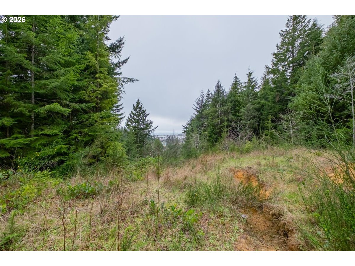 2800 Lot Waldport, OR 97394 - Photo 7 of 48