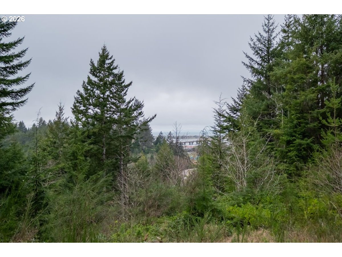 2800 Lot Waldport, OR 97394 - Photo 9 of 48