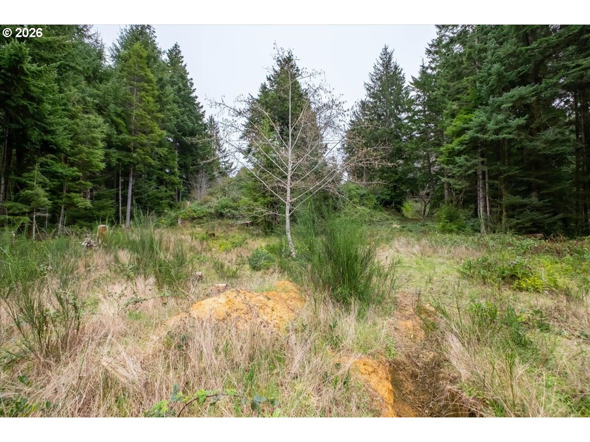 2800 Lot Waldport, OR 97394 - Photo 10 of 48