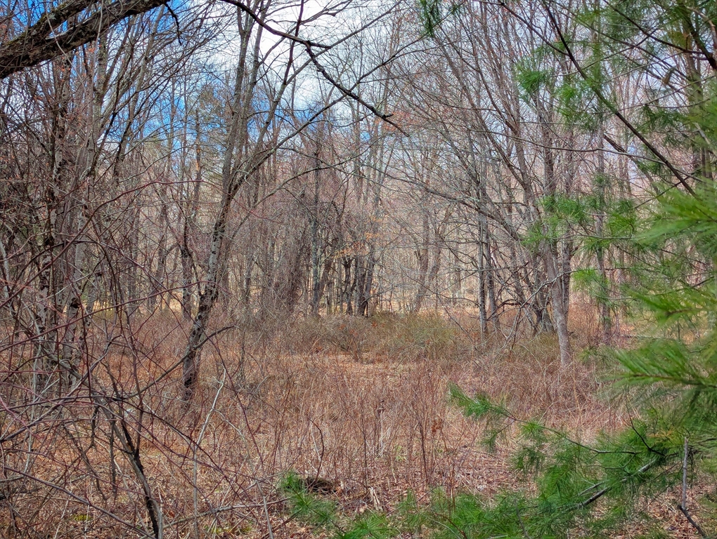 Lot 33.03 William Holmes Road Becket, MA 01223 - Photo 8 of 17 a backyard of a house with lots of green space