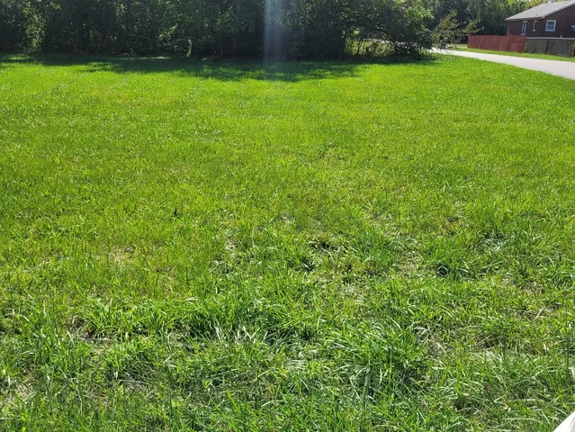 a view of a backyard with a garden