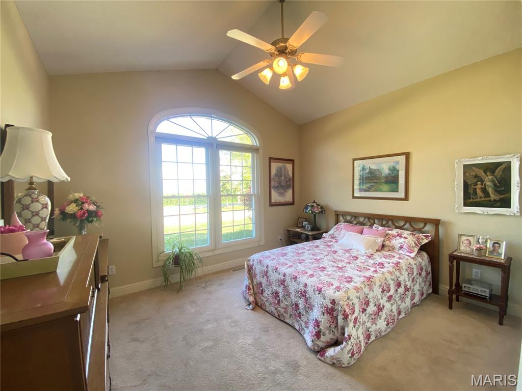 363 Old Collinsville Road Caseyville, IL 62232 - Photo 22 of 46