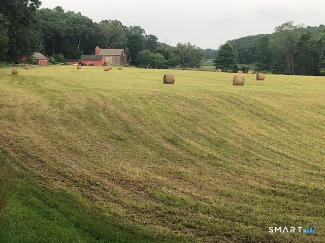 90 Duck Hole Road Guilford, CT 06437 - Photo 3 of 38