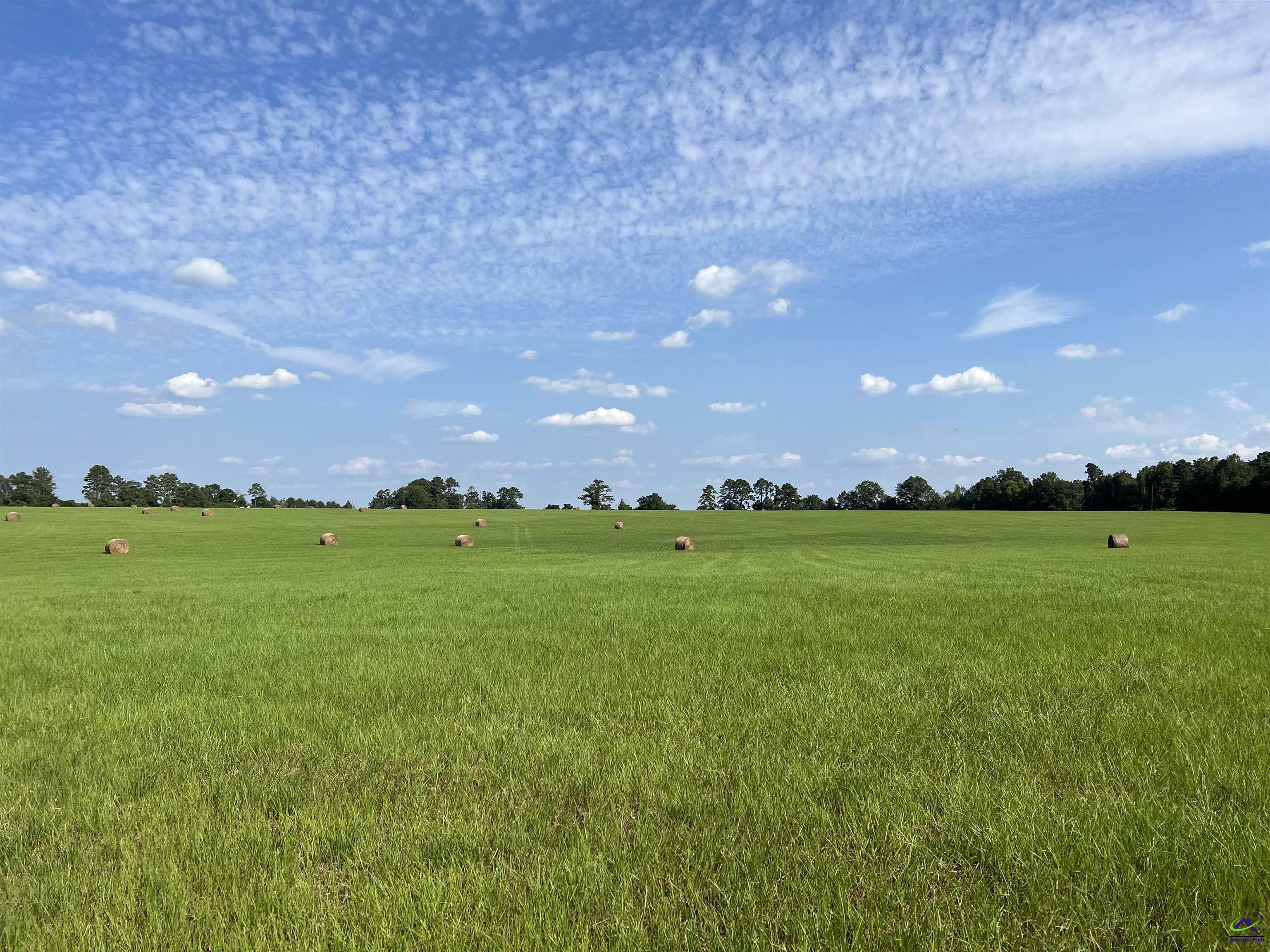 Red Dog Farm Road Cochran, GA 31014 - Photo 9 of 11