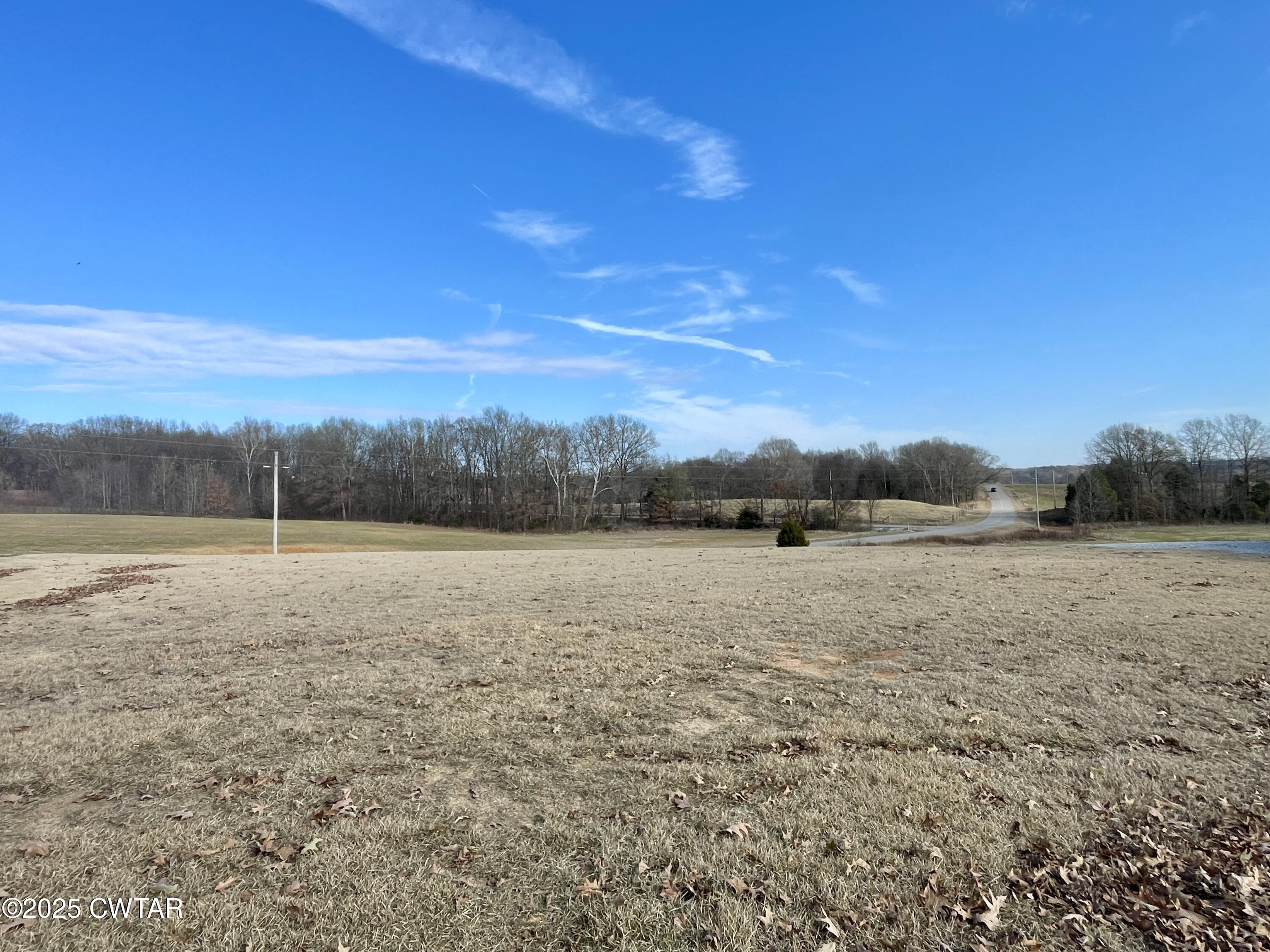 187 John Martin Road Bradford, TN 38316 - Photo 20 of 30 187 John Martin - Back yard 2