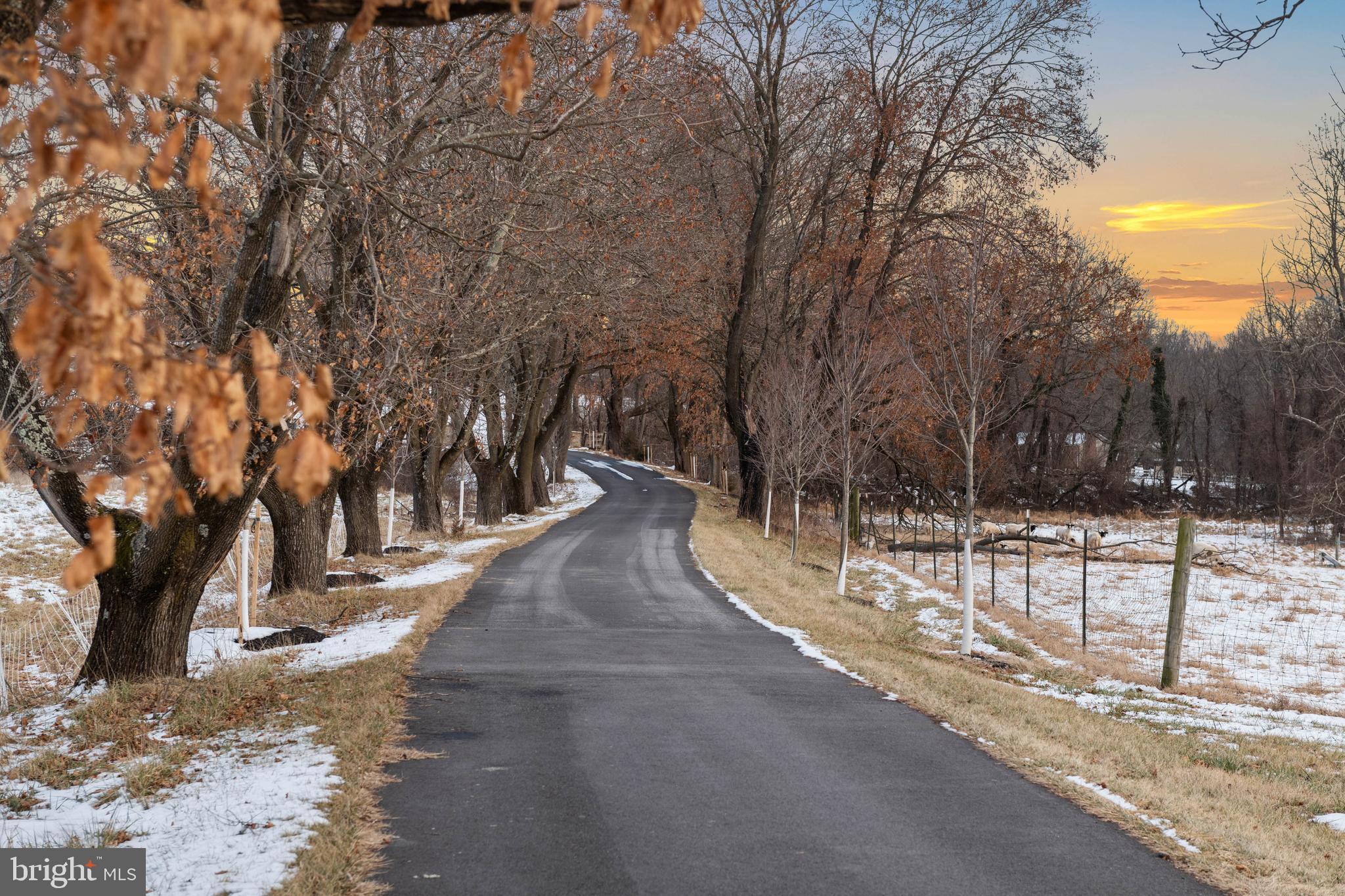 15314 Priceville Road Sparks Glencoe, MD 21152 - Photo 32 of 33 a view of a park with trees
