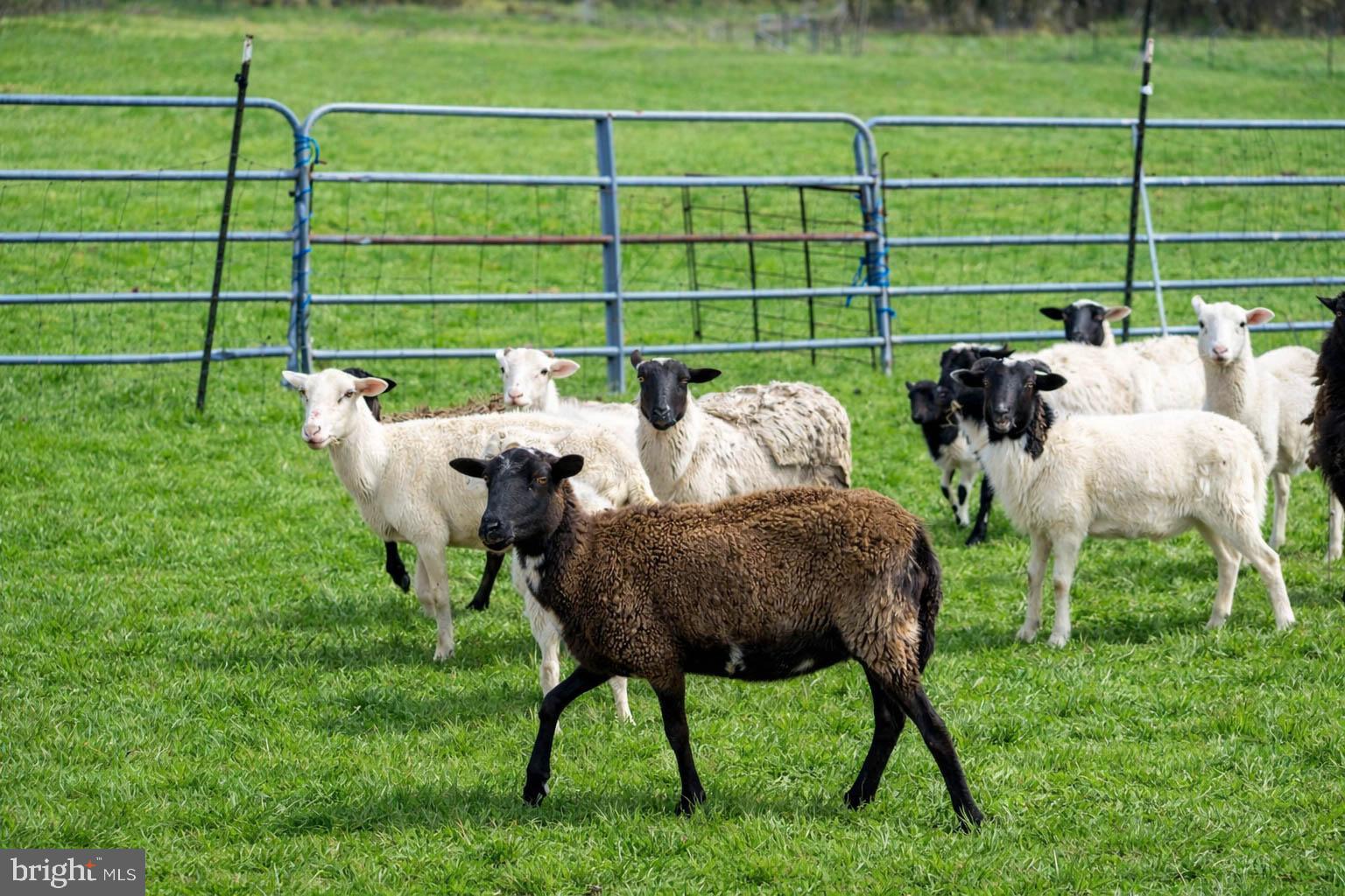 15314 Priceville Road Sparks Glencoe, MD 21152 - Photo 46 of 74