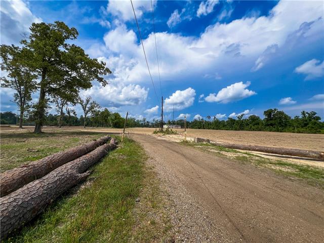 16143 West Murray Road Ponchatoula, LA 70454 - Photo 12 of 28