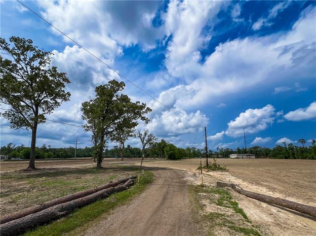 16143 West Murray Road Ponchatoula, LA 70454 - Photo 16 of 28