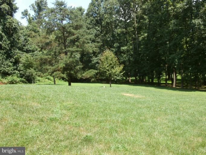 9319 Old Court Road Baltimore, MD 21244 - Photo 17 of 23 a view of garden with trees