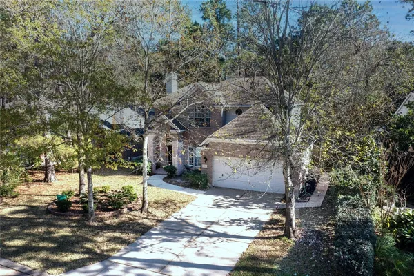 a view of a yard with plants and trees
