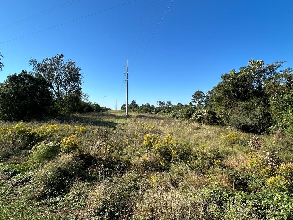 95 (columbia Rd) Road Abbeville, AL 36310 - Photo 7 of 41