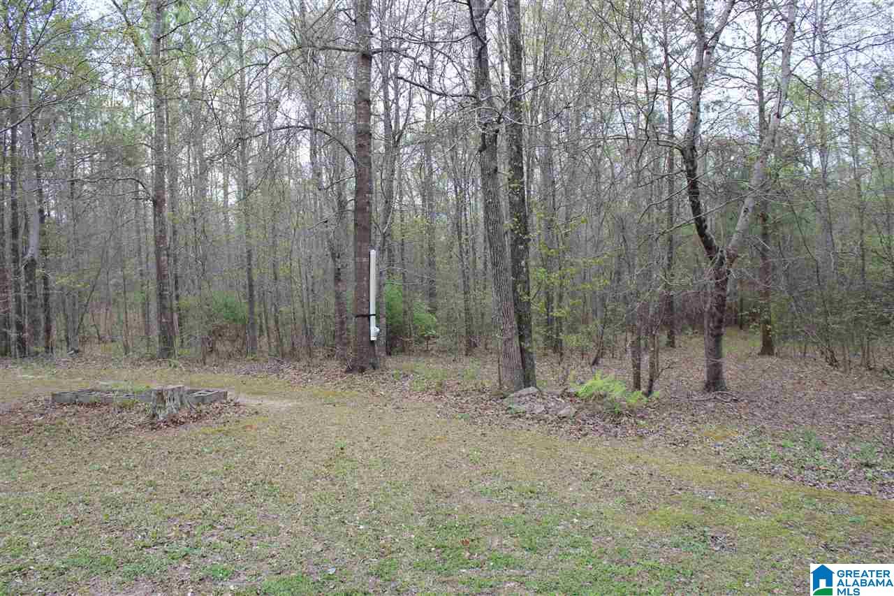 211 Rustling Pines Lane Sylacauga, AL 35150 - Photo 43 of 45