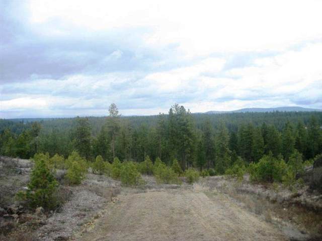 11622 South Scribner Road Cheney, WA 99004 - Photo 2 of 9