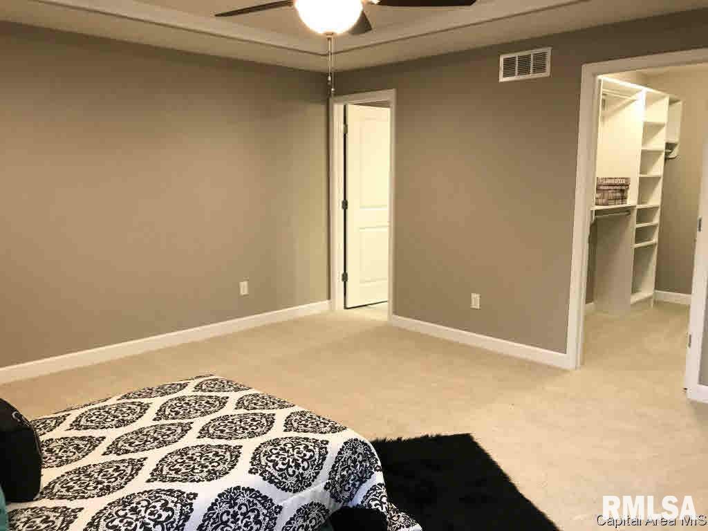 413 Waterwheel Drive Rochester, IL 62563 - Photo 15 of 28