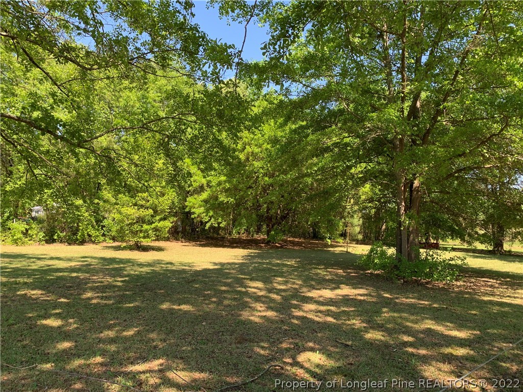 228 L A Sandy Road Raeford, NC 28376 - Photo 32 of 36 a view of a trees with a yard