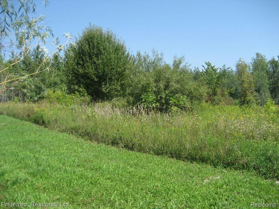 0 Botsford Howell, MI 48855 - Photo 2 of 4