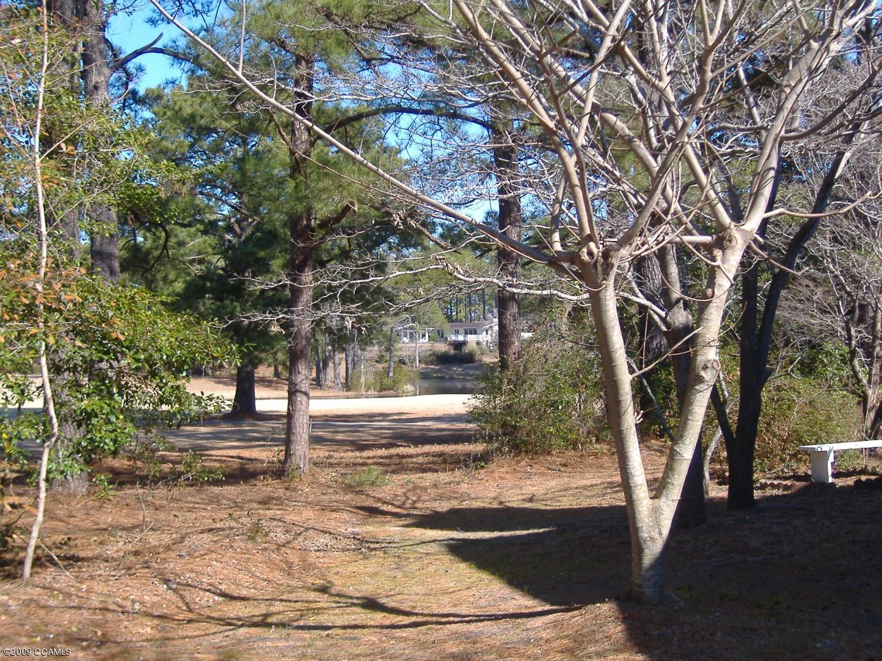117 Taylor Notion Road, Unit A Swansboro, NC 28584 - Photo 3 of 13 Pond View of Star Hill Golf Course