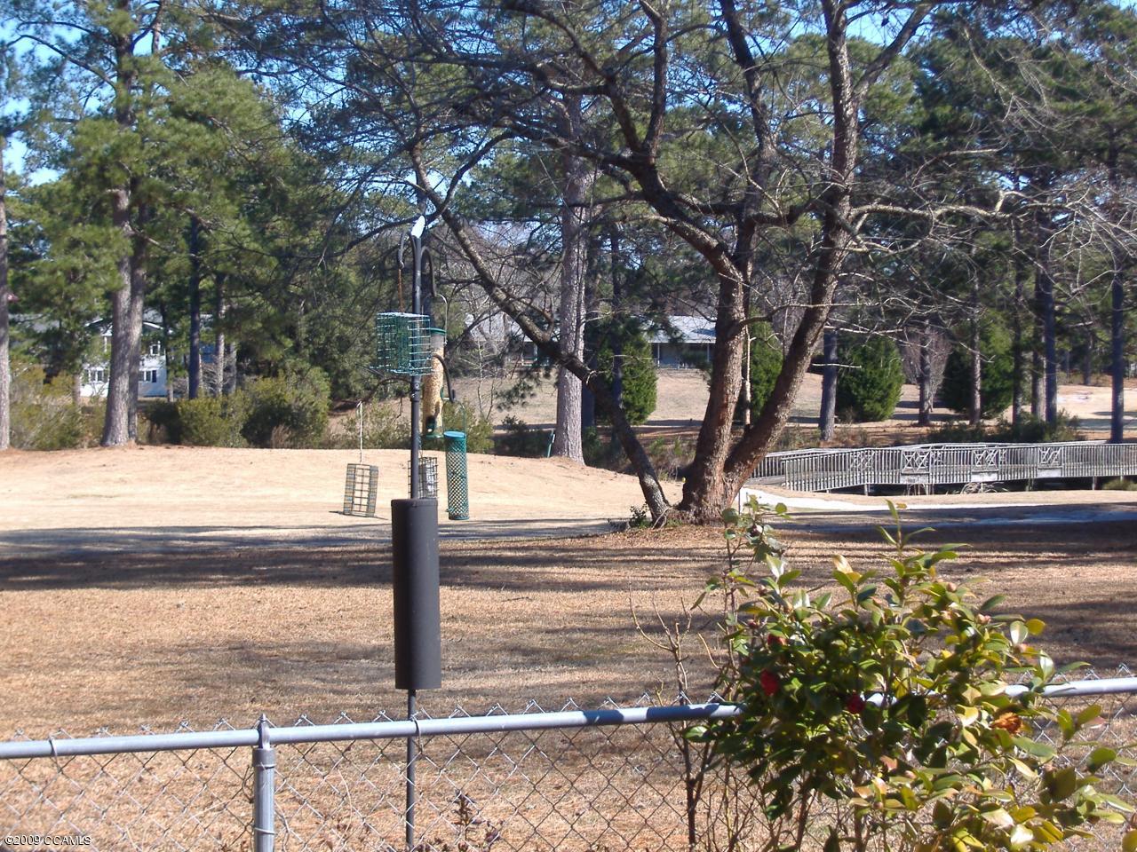 117 Taylor Notion Road, Unit A Swansboro, NC 28584 - Photo 4 of 13 View of 1st hole on The Lakes Course