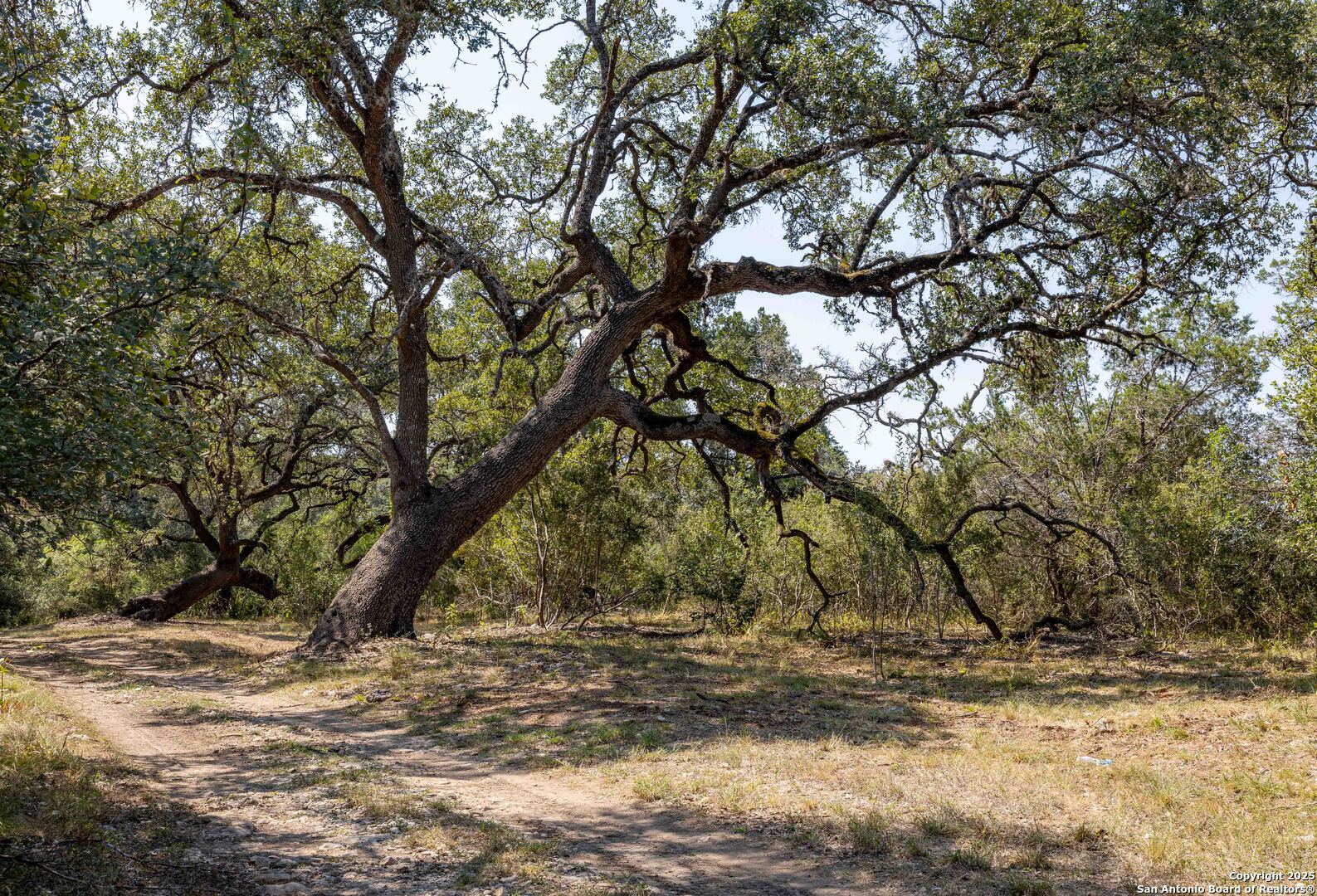 7622 Ramble Ridge San Antonio, TX 78266 - Photo 28 of 35