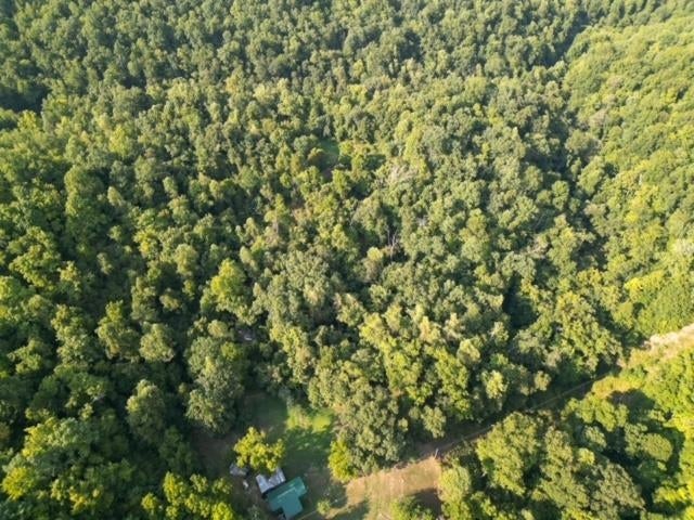 0 Lycans Branch Road Ona, WV 25545 - Photo 2 of 12 Gallery Image 2