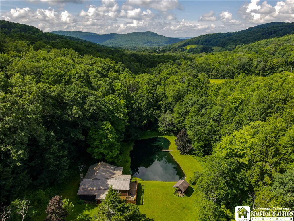 738 Butternut Brook Genesee, NY 14770 - Photo 42 of 47