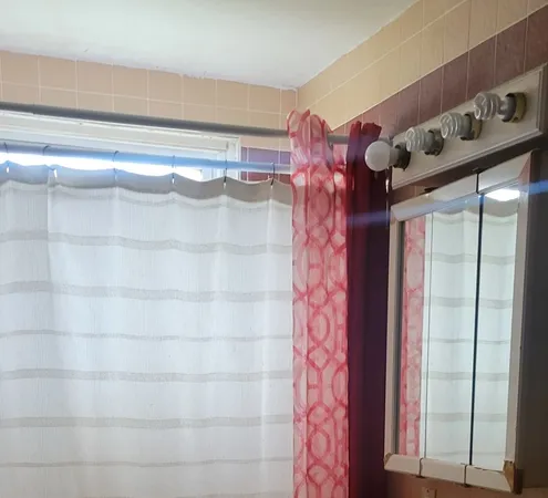 a view of a room with a plants and a bookshelf