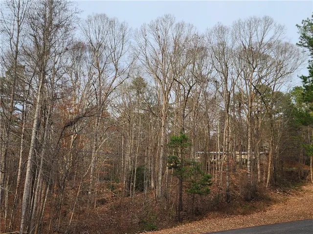 $245,000 | 206 Ficklen Drive, Canton, GA 30114
