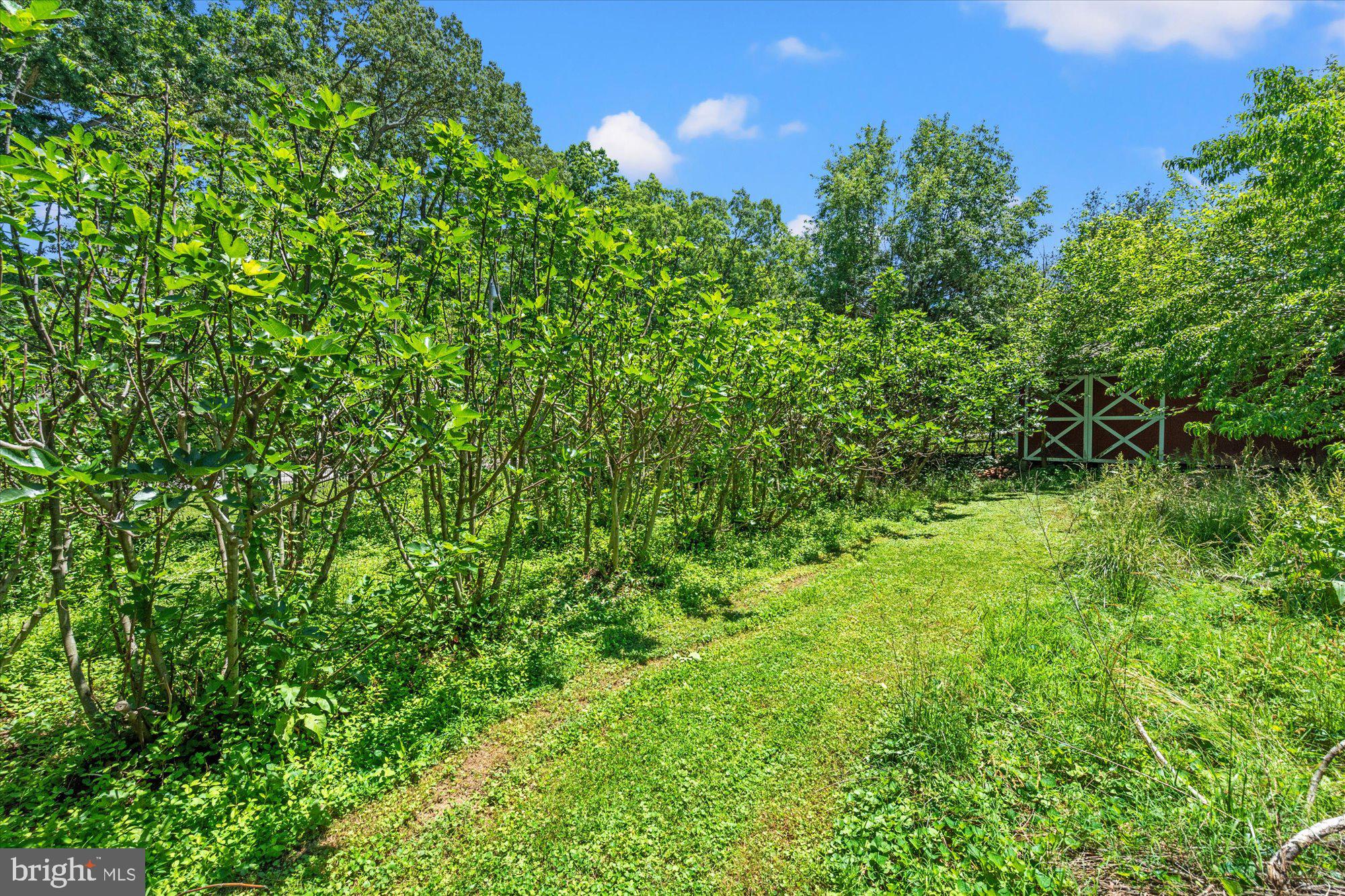 4730 Bicknell Road Marbury, MD 20658 - Photo 68 of 70