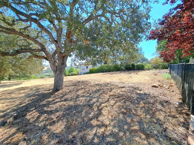 a view of a yard with a tree