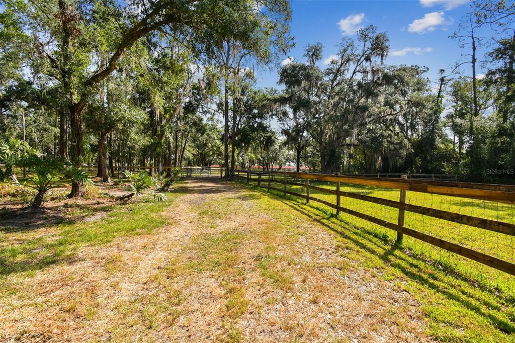 2853 Saffold Road Wimauma, FL 33598 - Photo 14 of 62