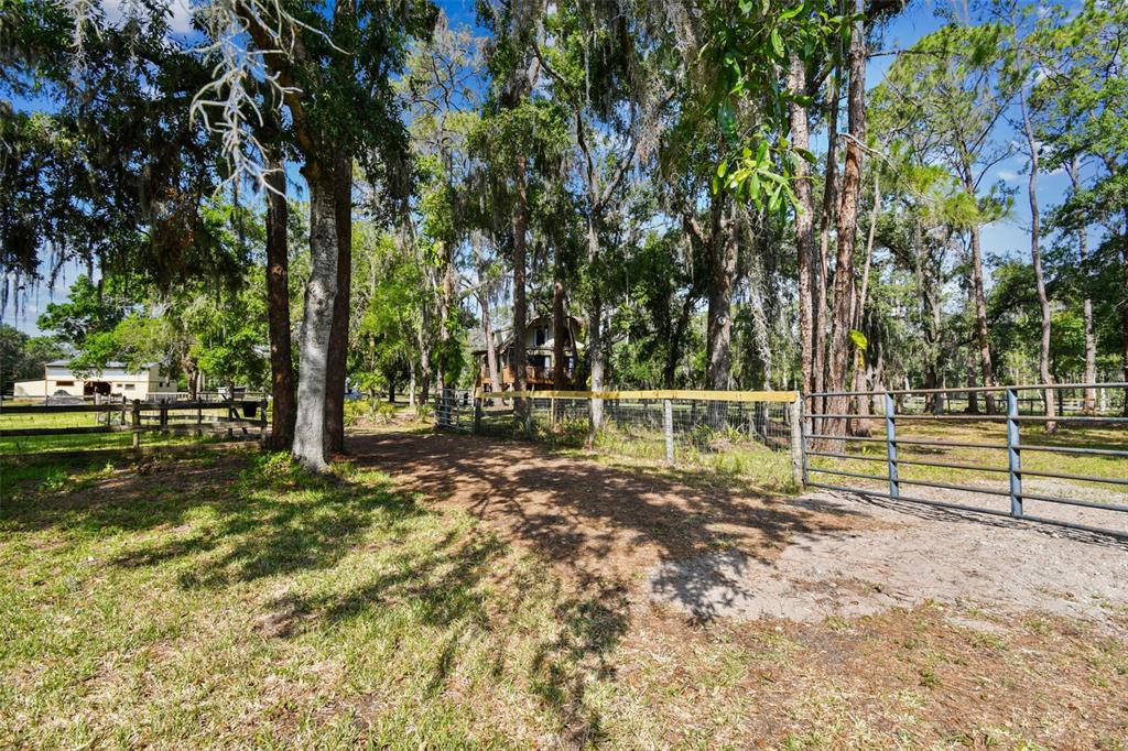 2853 Saffold Road Wimauma, FL 33598 - Photo 17 of 62