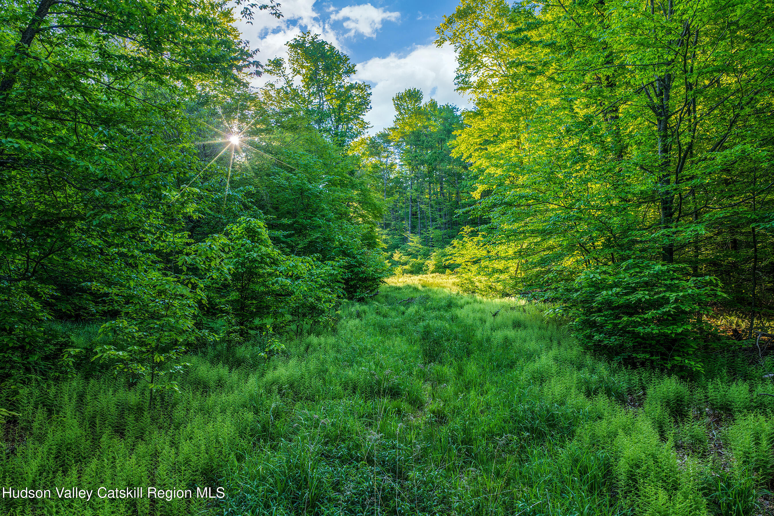 0 Frank Slawson Road Oneonta, NY 13820 - Photo 8 of 29 DJI_20260603070912_0501_D-Edit