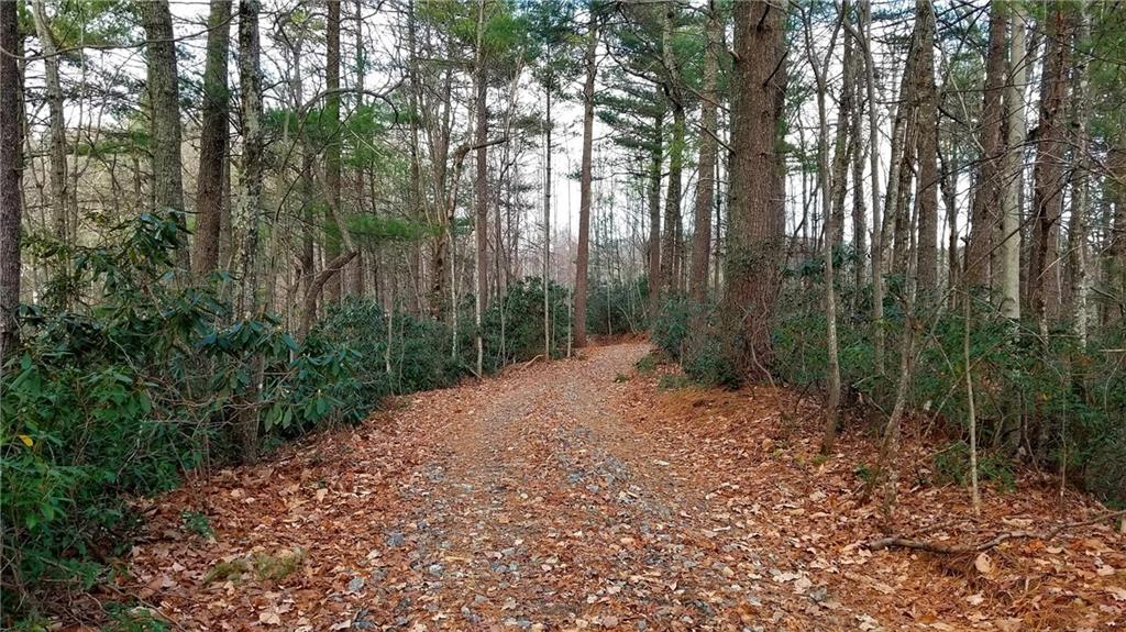 0 Skid Trail, Unit 22 Lenoir, NC 28645 - Photo 4 of 15