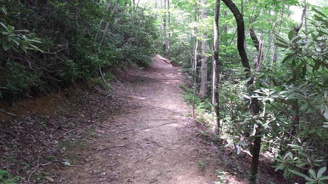 0 Skid Trail, Unit 22 Lenoir, NC 28645 - Photo 6 of 15