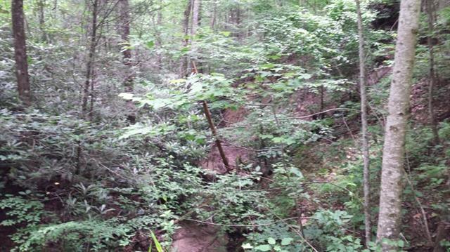 0 Skid Trail, Unit 22 Lenoir, NC 28645 - Photo 7 of 15