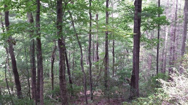 0 Skid Trail, Unit 22 Lenoir, NC 28645 - Photo 8 of 15
