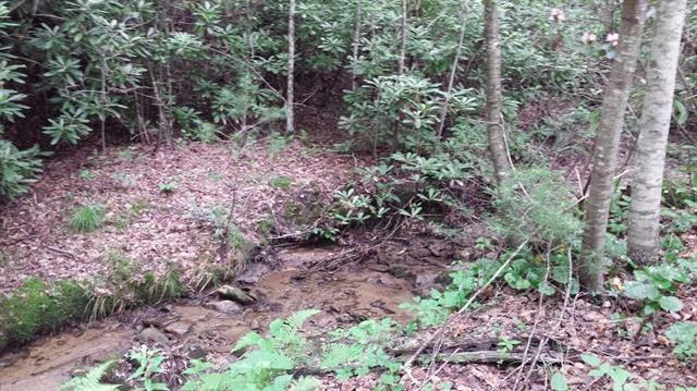 0 Skid Trail, Unit 22 Lenoir, NC 28645 - Photo 9 of 15