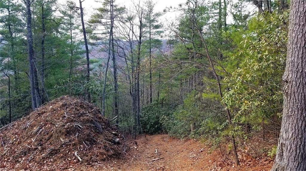 0 Skid Trail, Unit 22 Lenoir, NC 28645 - Photo 10 of 15