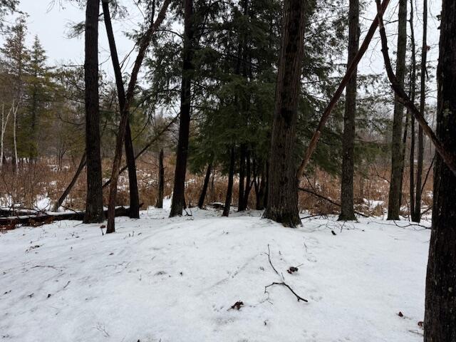 7 7 Mile Road Lakeview, MI 48850 - Photo 2 of 4