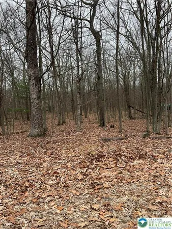 a view of outdoor space with trees