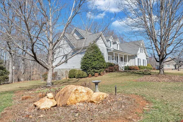 a view of a yard with a large tree